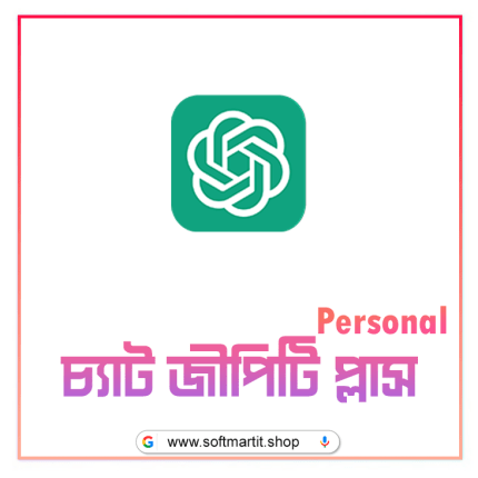 Chatgpt Plus Personal Account